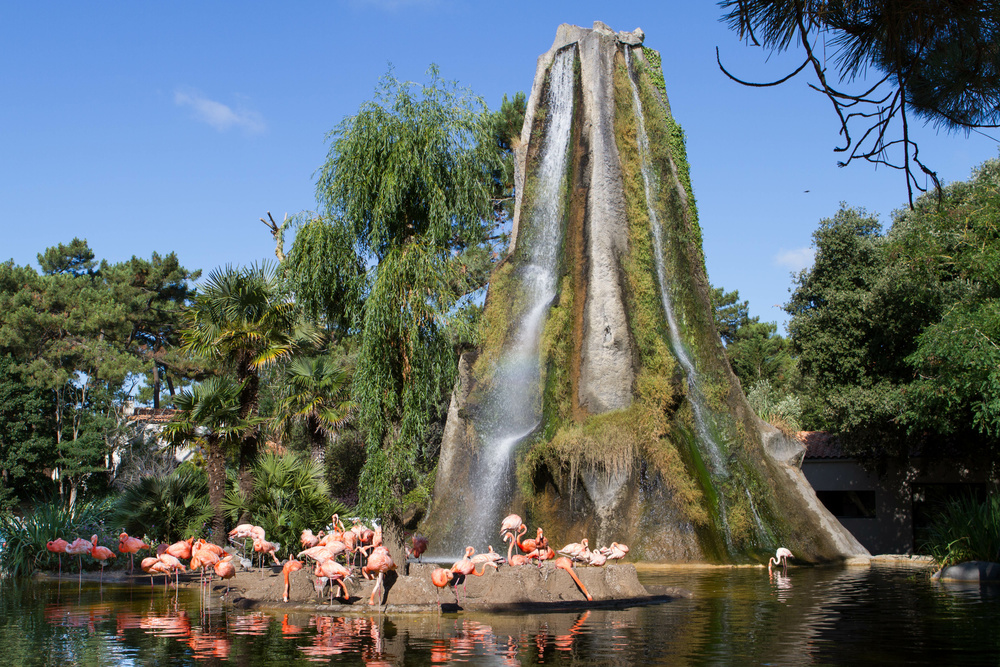 Votre hôtel proche du zoo de Palmyre